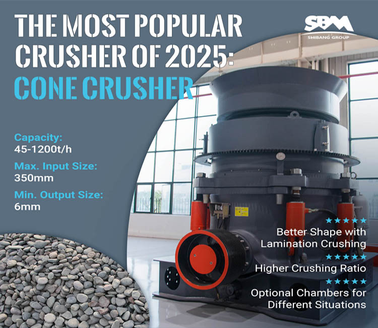 britador c&ocirc;nico